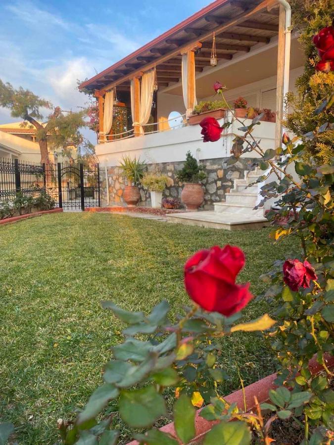 Beautiful Beach House Gerakini Exterior photo