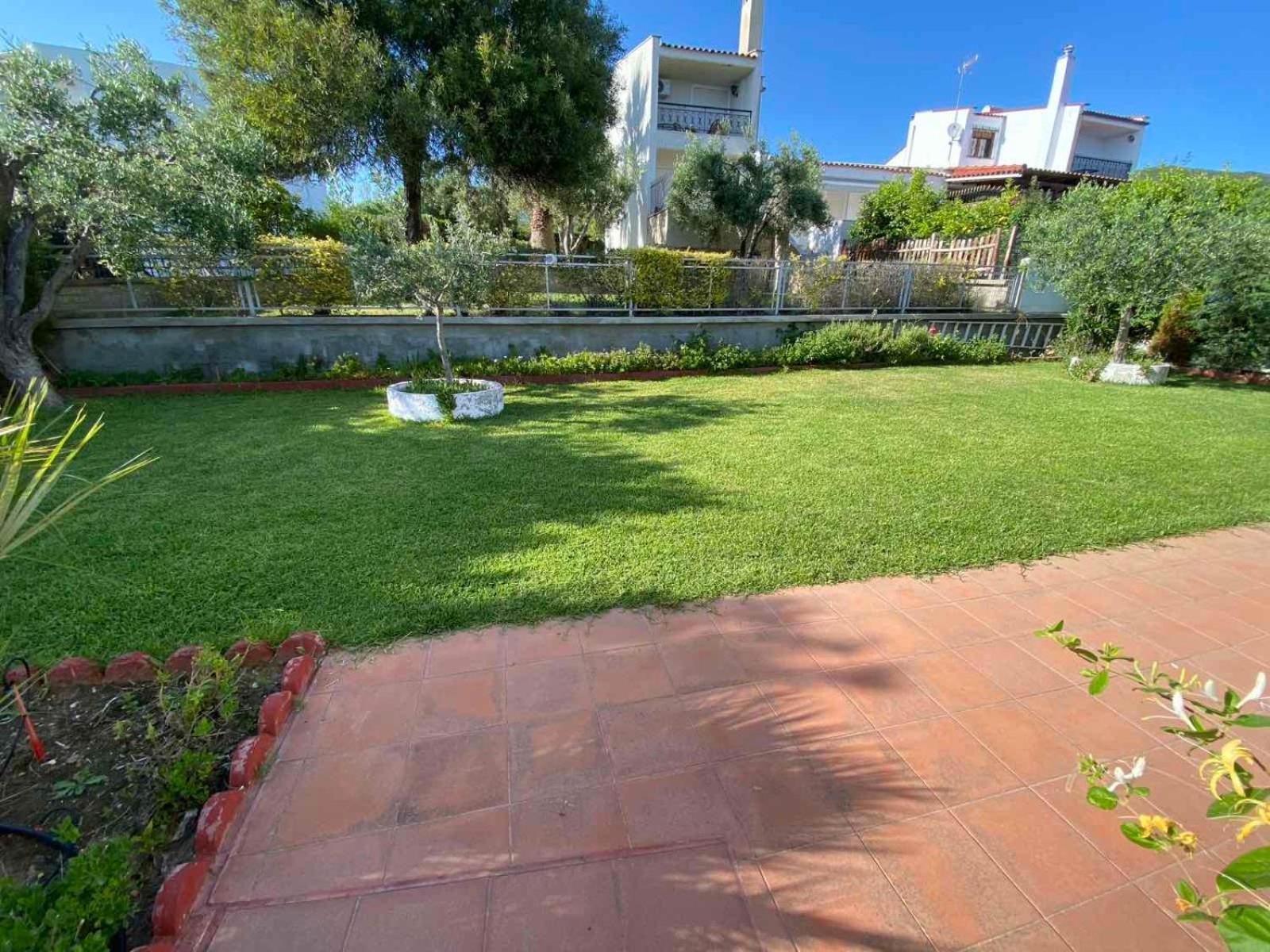 Beautiful Beach House Gerakini Exterior photo